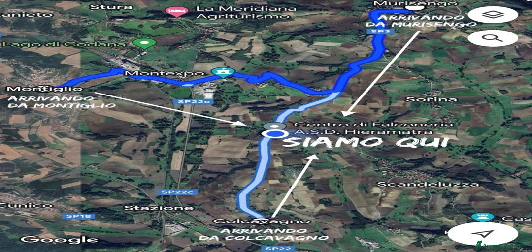 Immagine della galleria {{count}}