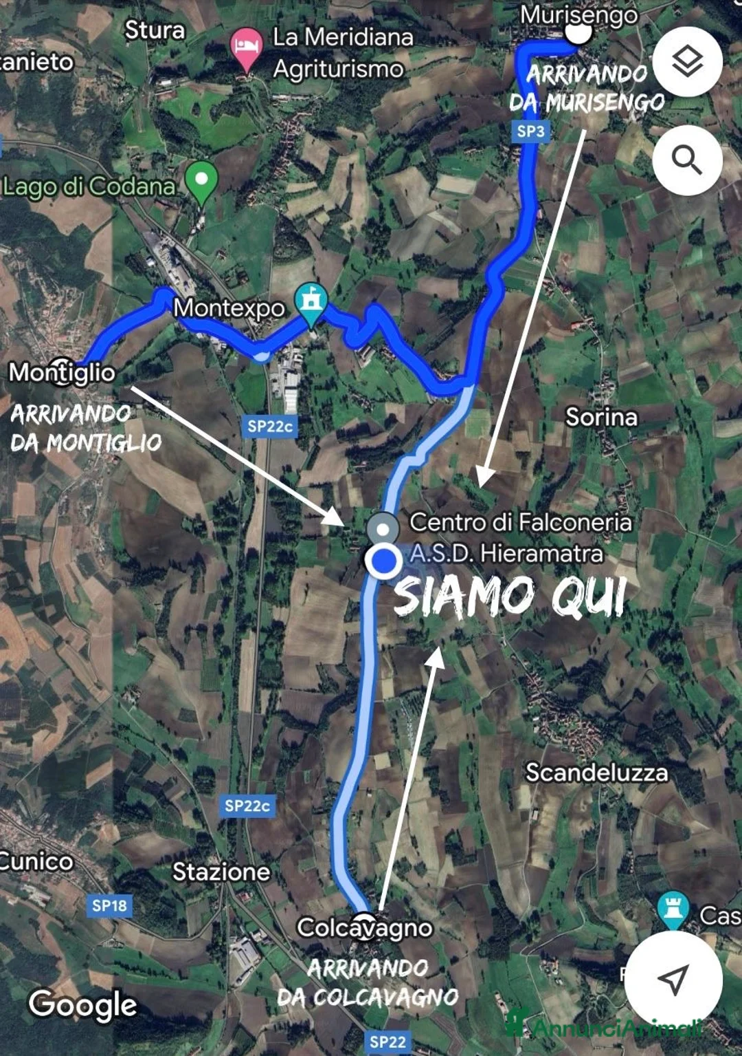 Immagine della galleria {{count}}