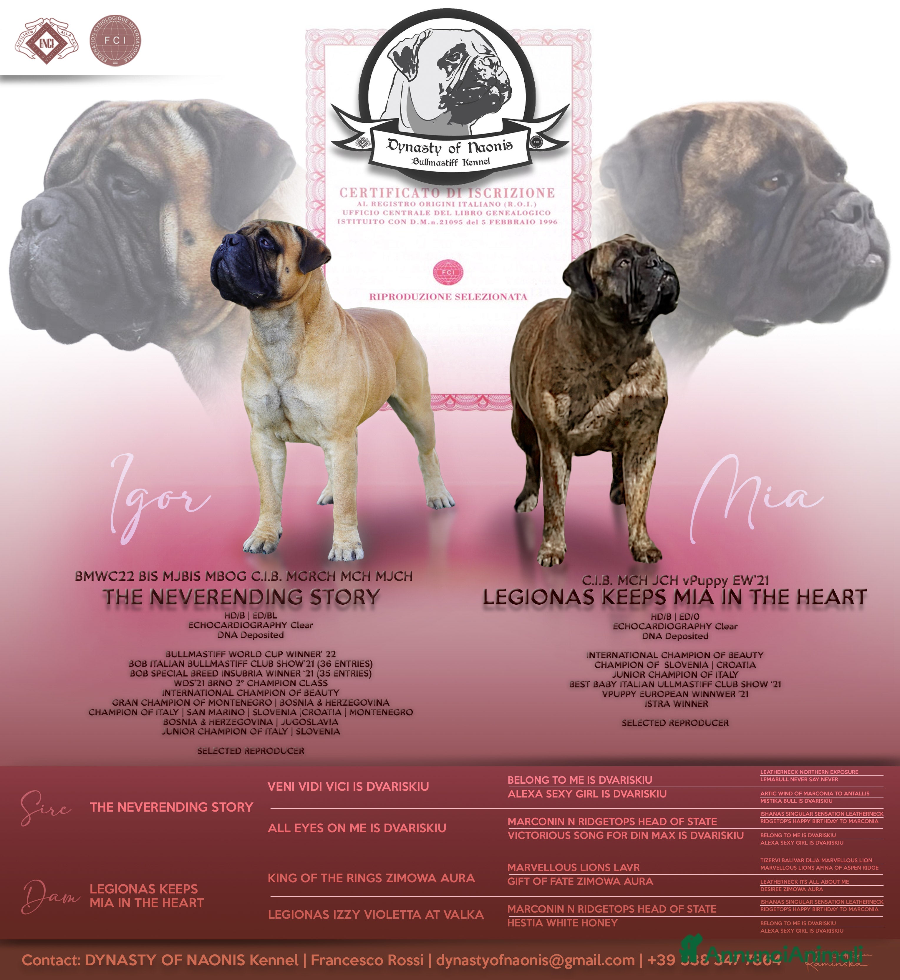 Bullmastiff cani Bullmastiff cuccioli disponibili  - Annuncio 1