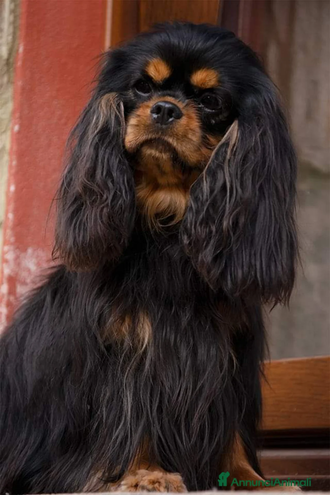 Immagine della galleria {{count}}