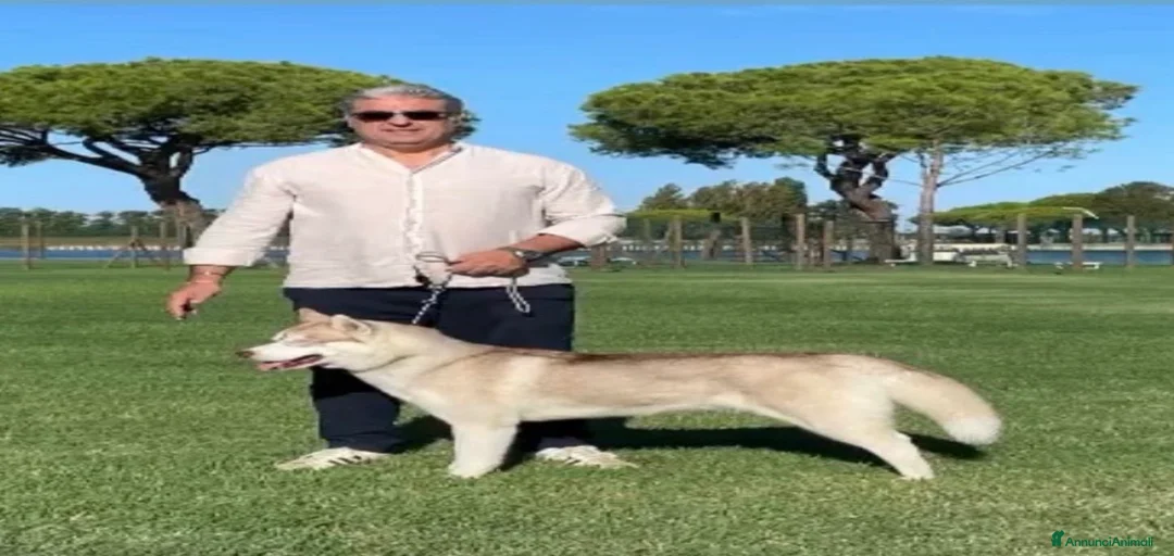 Immagine della galleria {{count}}