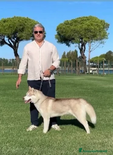 Immagine della galleria {{count}}