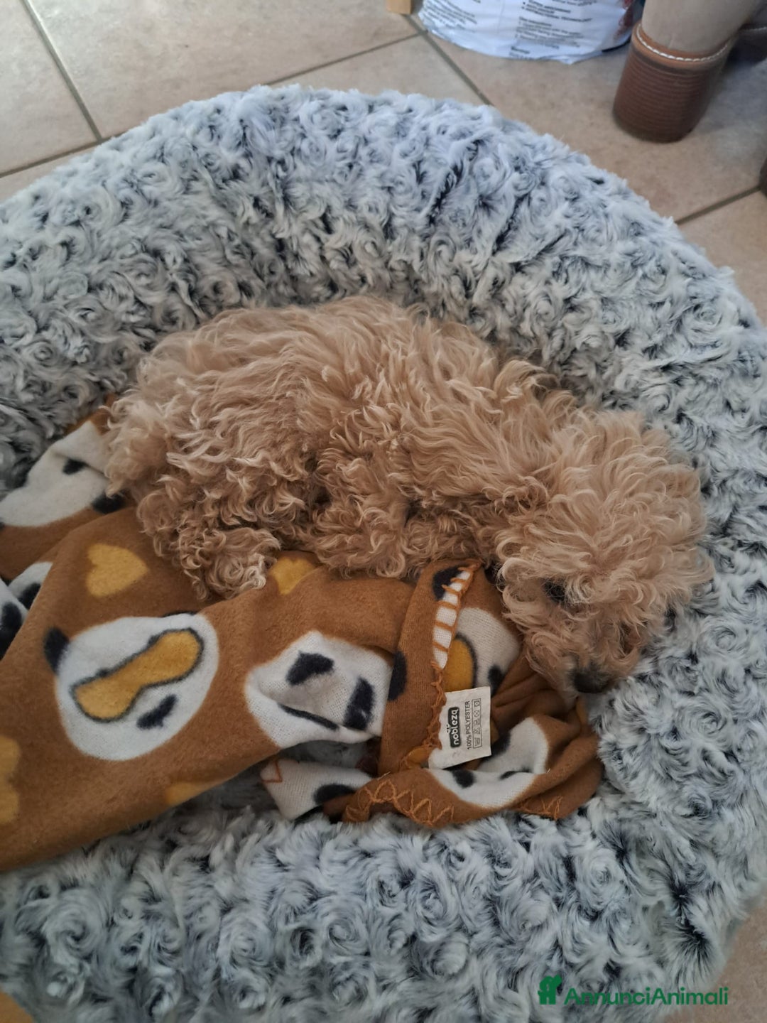 Immagine della galleria {{count}}