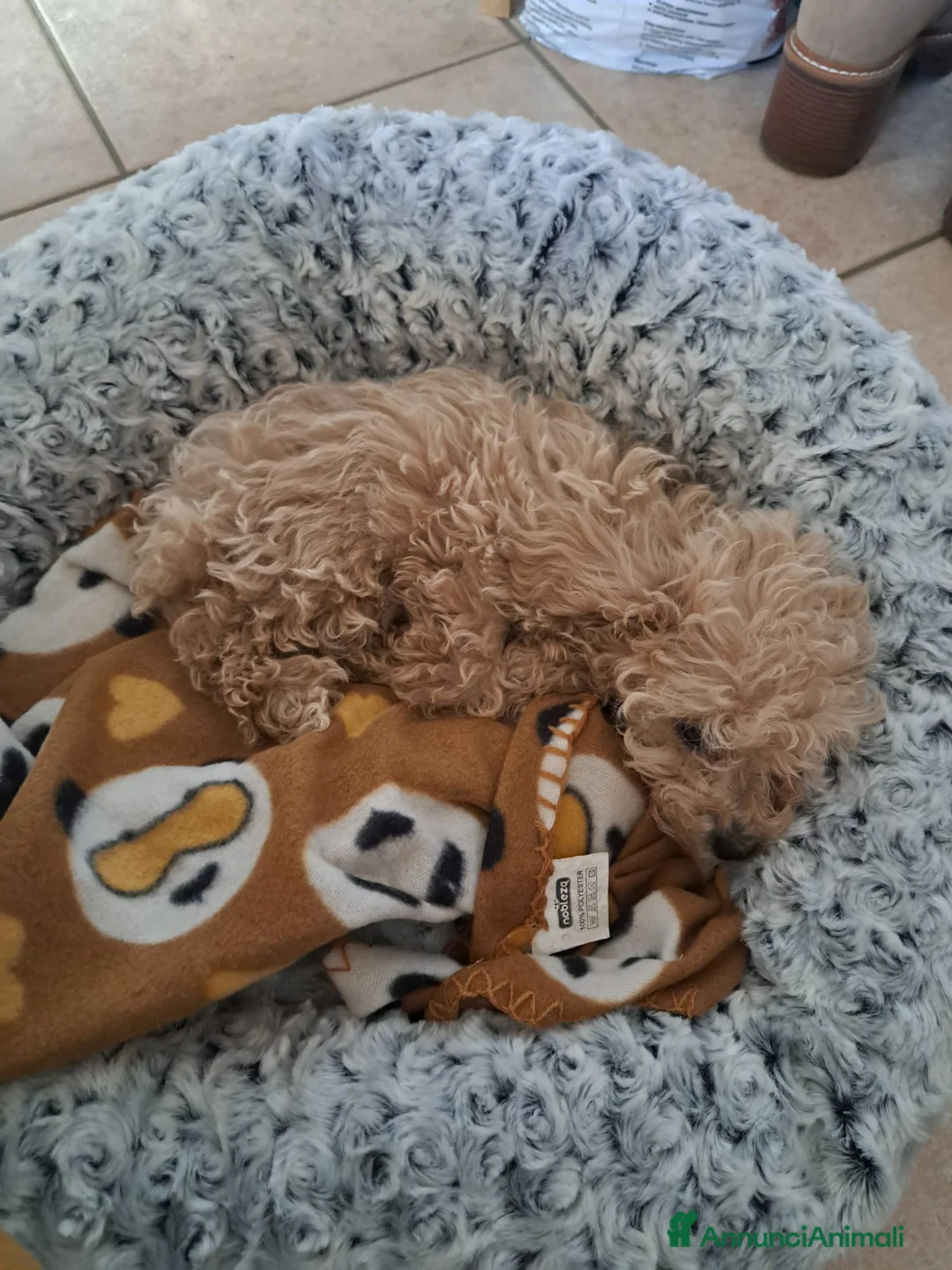 Immagine della galleria {{count}}