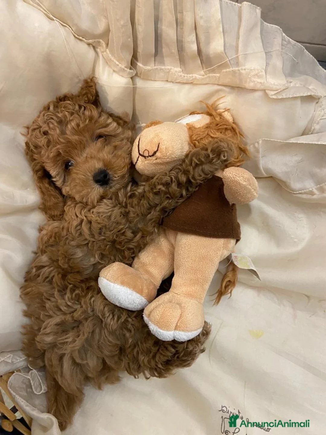 Immagine della galleria {{count}}