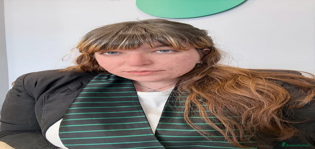 Immagine della galleria {{count}}