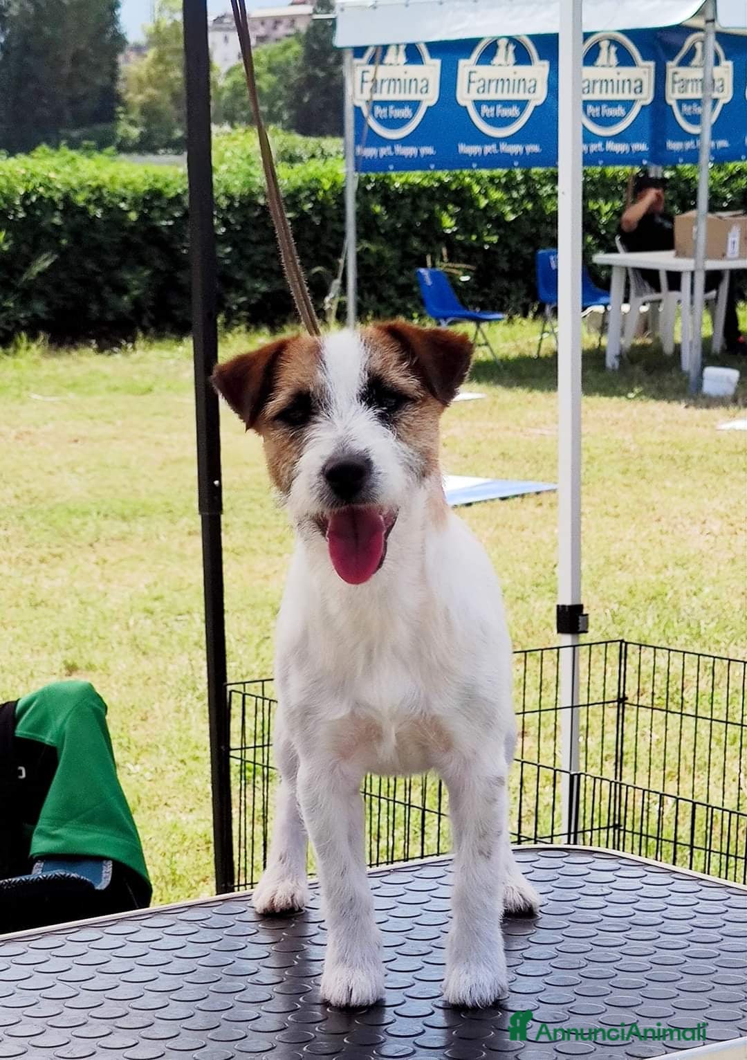 Immagine della galleria {{count}}