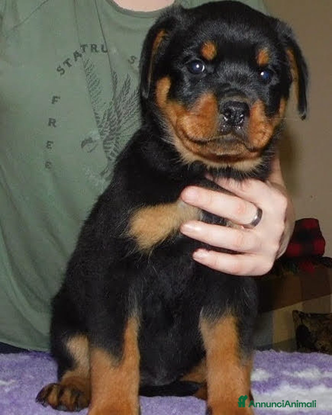 Immagine della galleria {{count}}