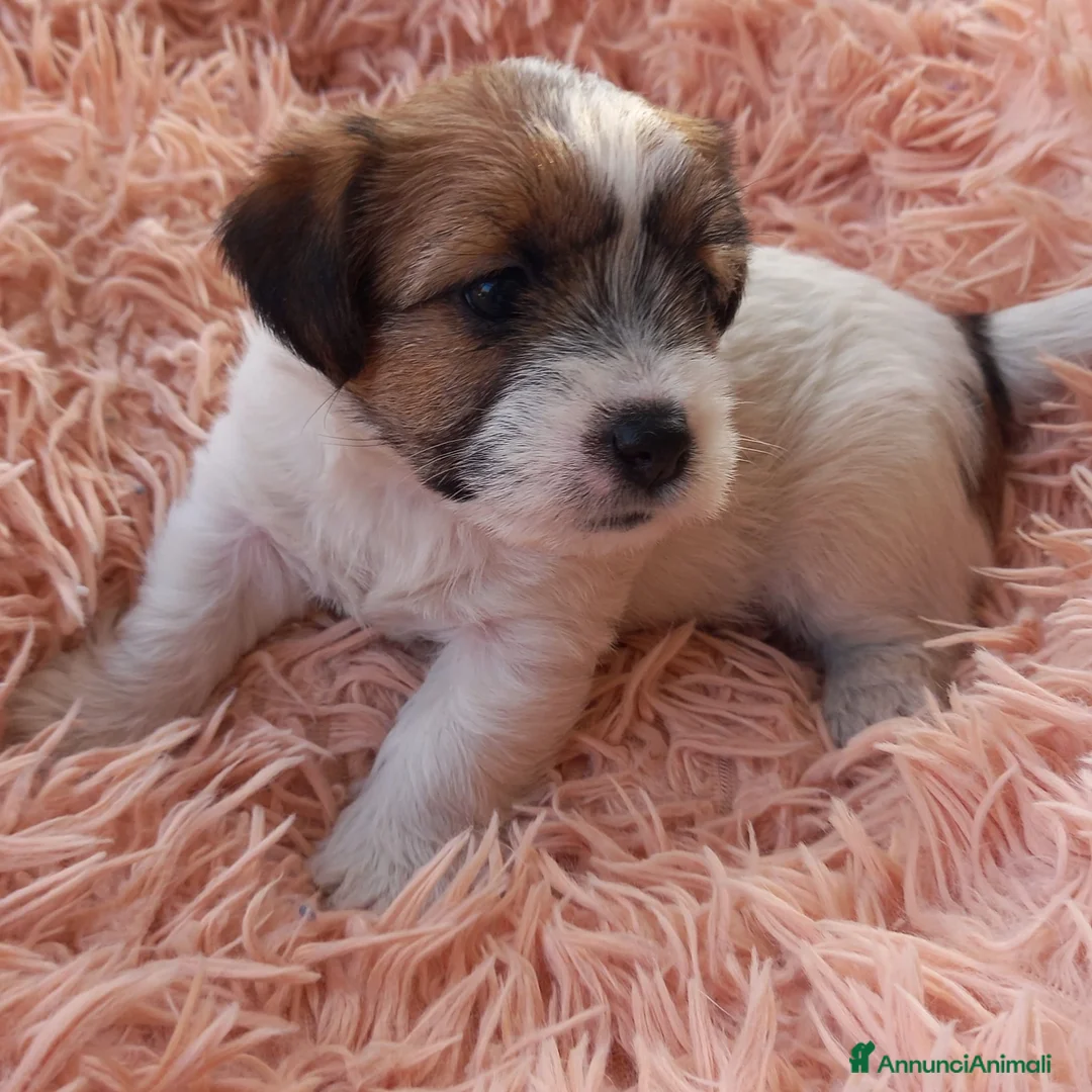 Immagine della galleria {{count}}