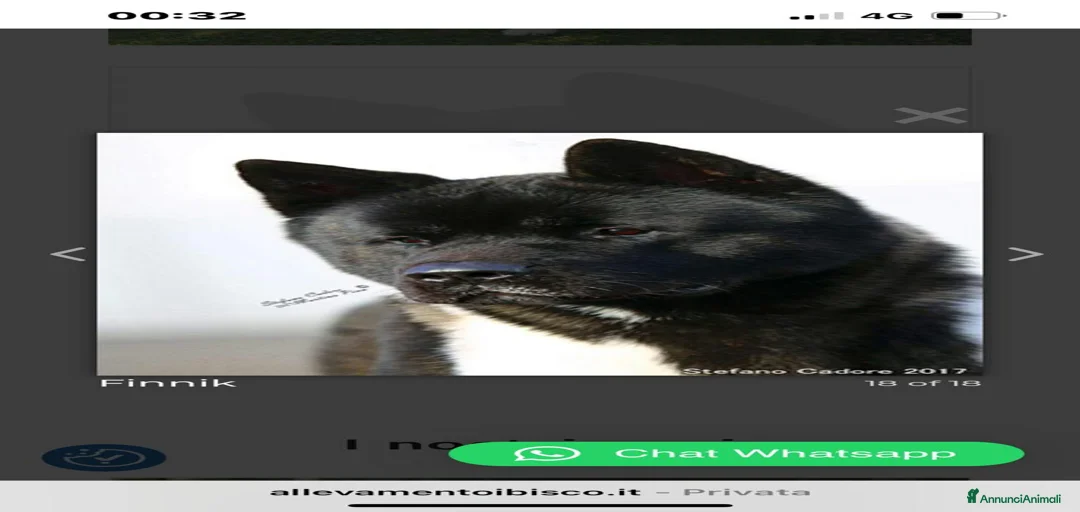 Immagine della galleria {{count}}