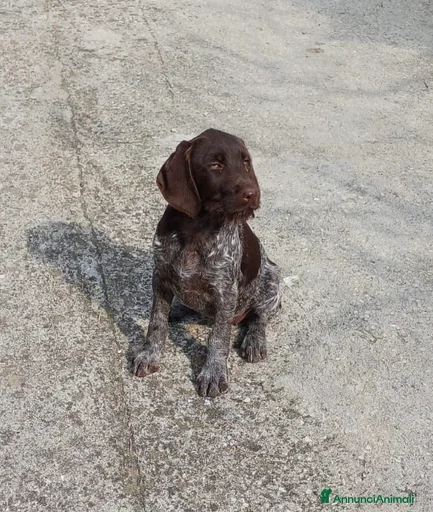 Immagine della galleria {{count}}