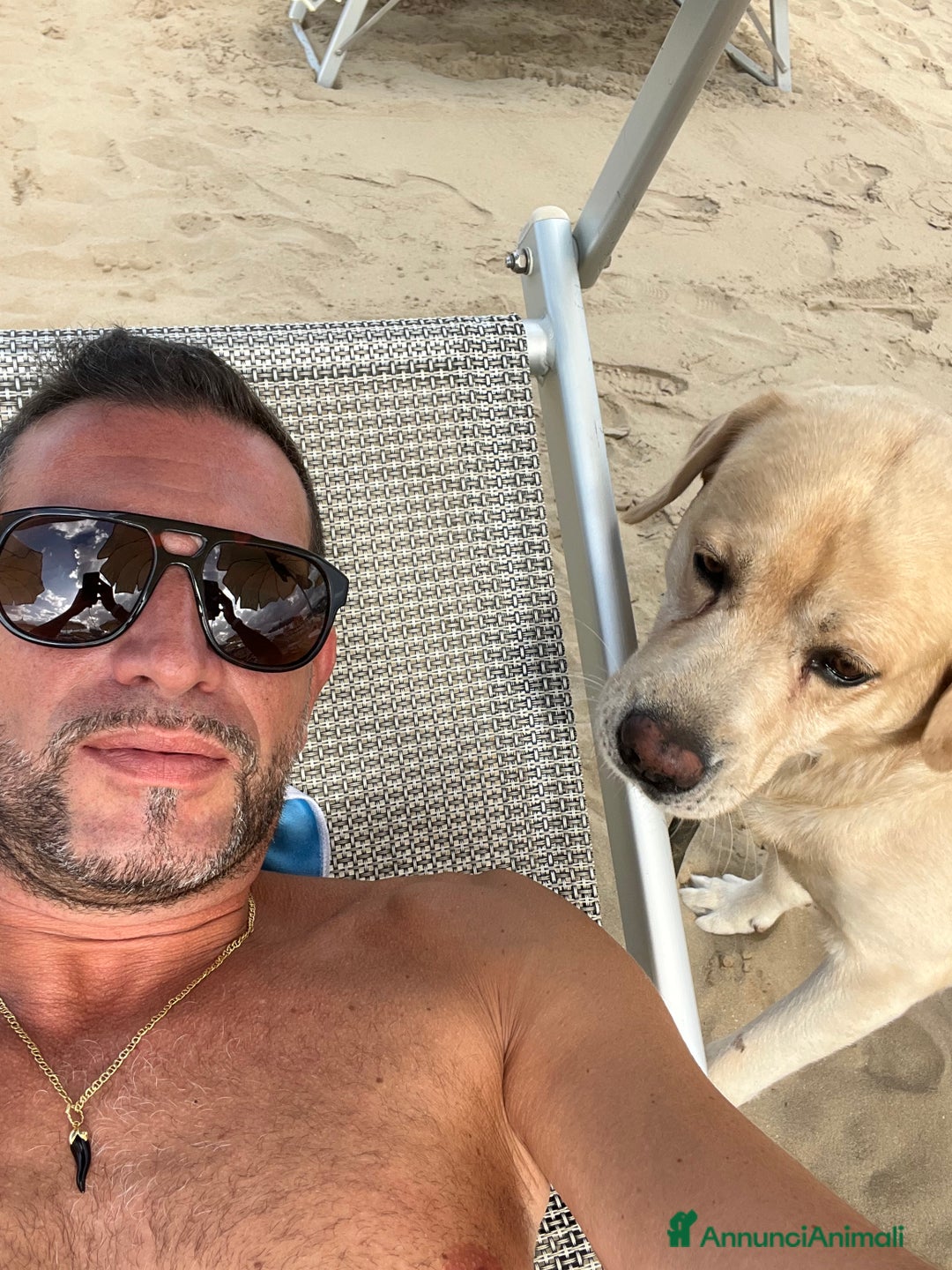 Immagine della galleria {{count}}