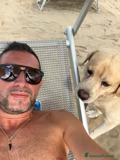 Immagine della galleria {{count}}