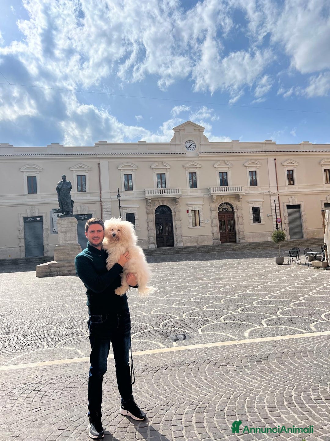 Bichon cani per accoppiamento: Bichon Frise’ Maschio per inseminazione a pagament a Provincia di Salerno - Immagine 5
