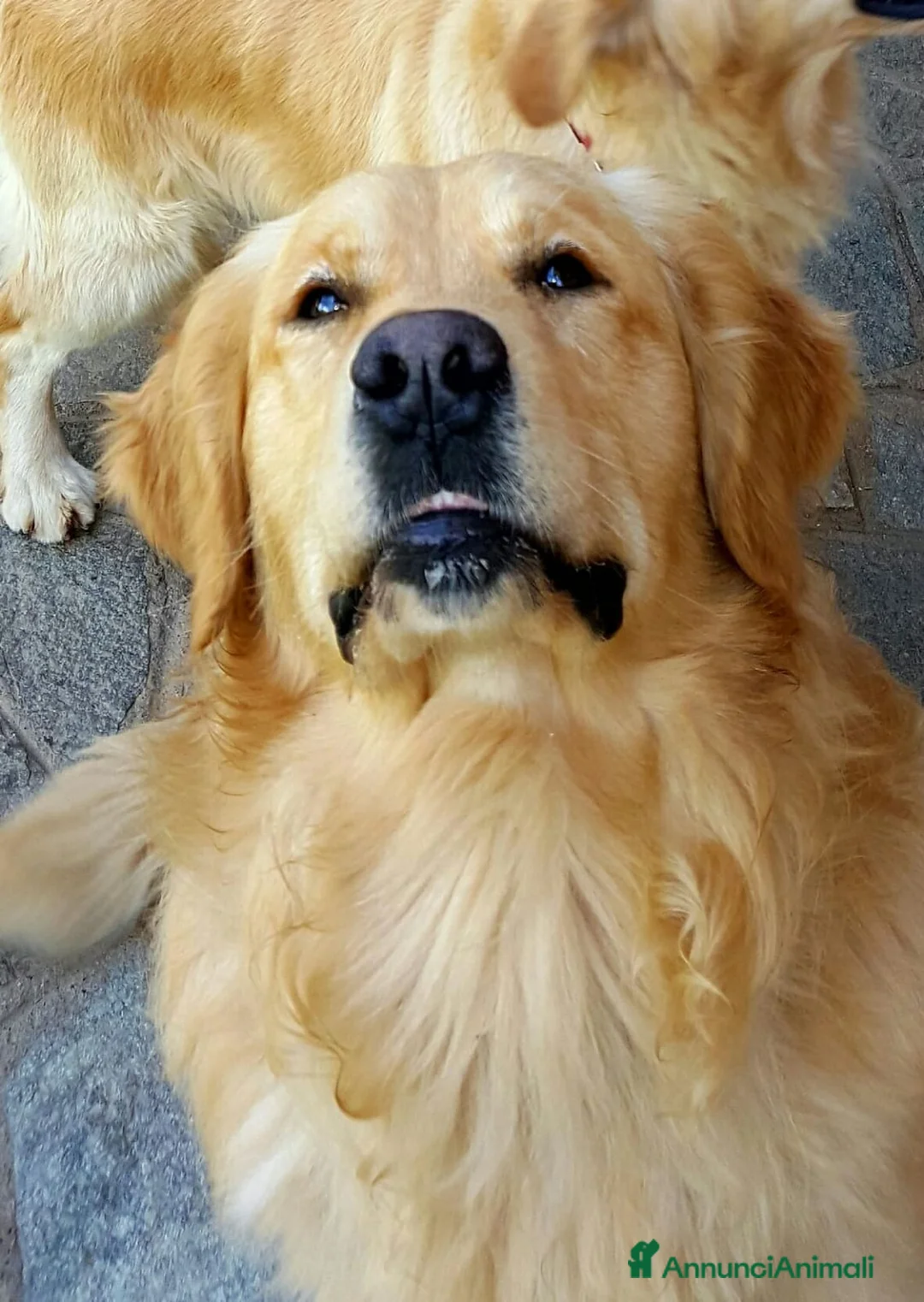 Immagine della galleria {{count}}