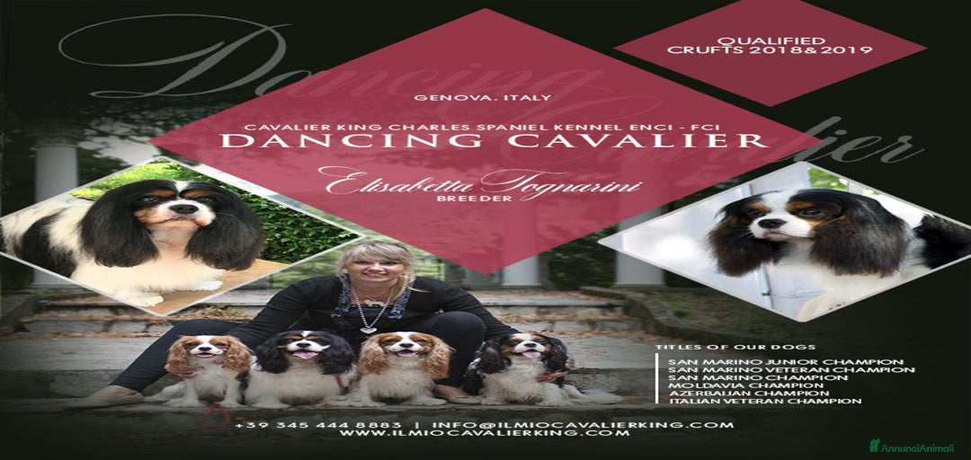 Immagine della galleria {{count}}