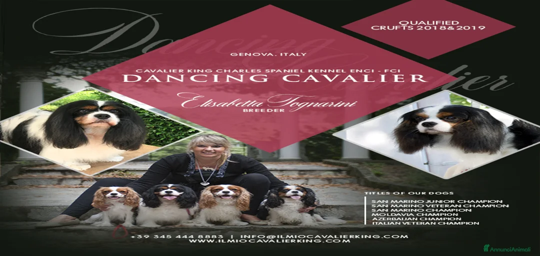 Immagine della galleria {{count}}