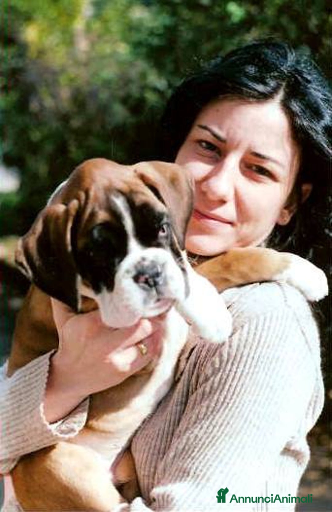 Boxer cani in vendita: BOXER CUCCIOLI DISPONIBILI - Annuncio 25