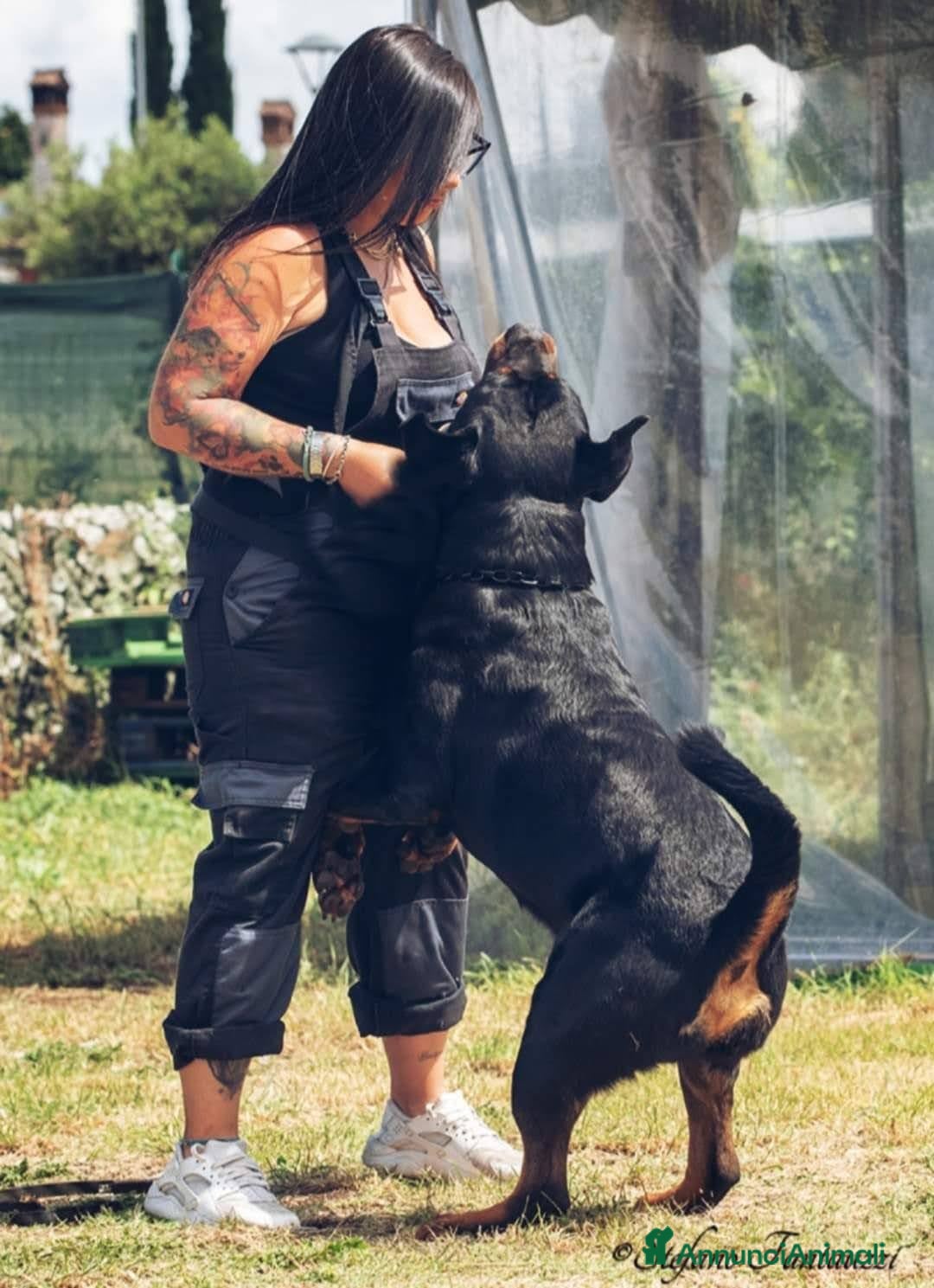 Immagine della galleria {{count}}