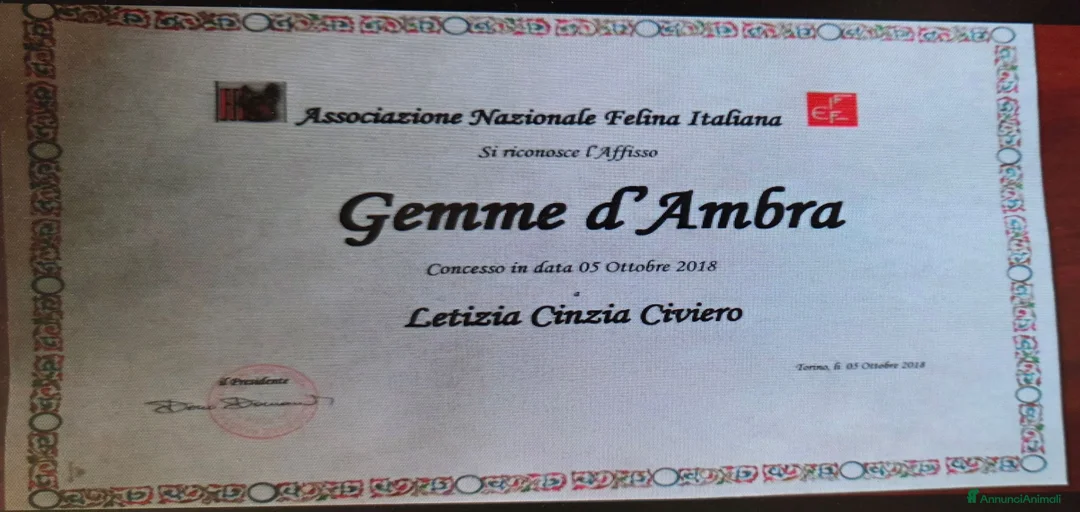 Immagine della galleria {{count}}