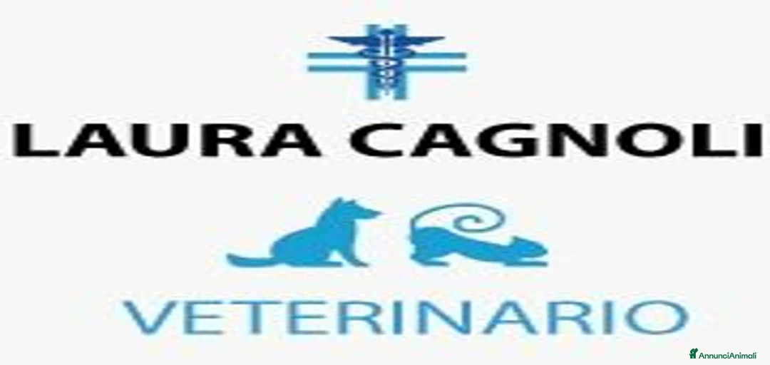 Immagine della galleria {{count}}