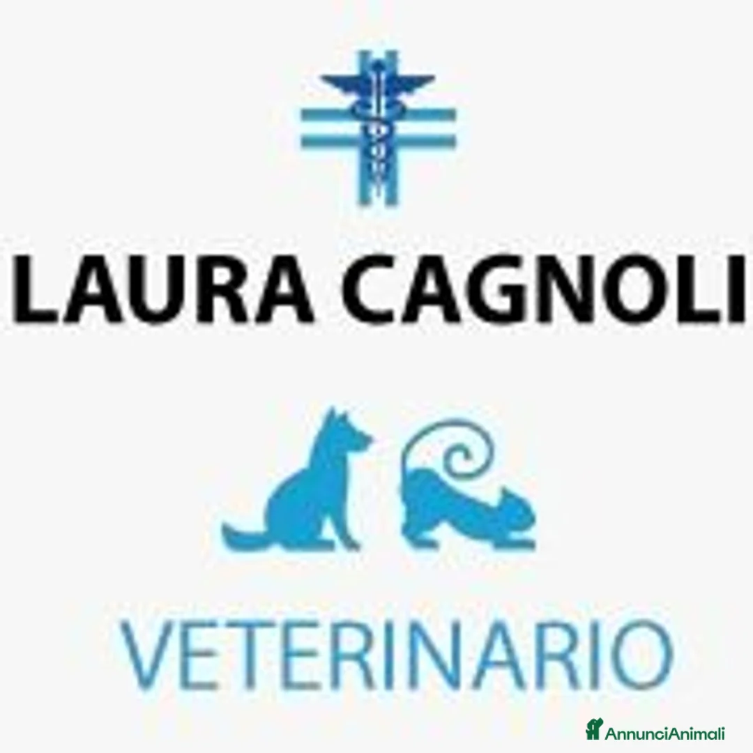 Immagine della galleria {{count}}