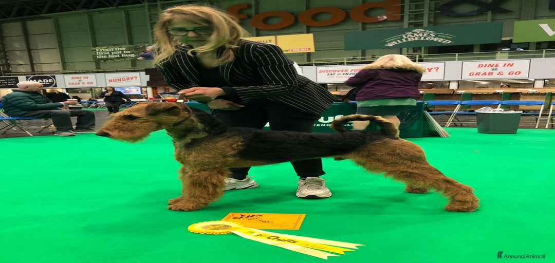 Immagine della galleria {{count}}