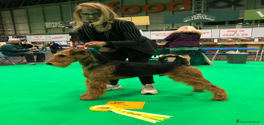 Immagine della galleria {{count}}