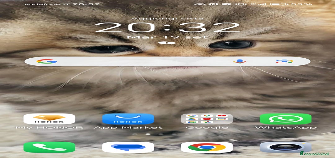 Immagine della galleria {{count}}