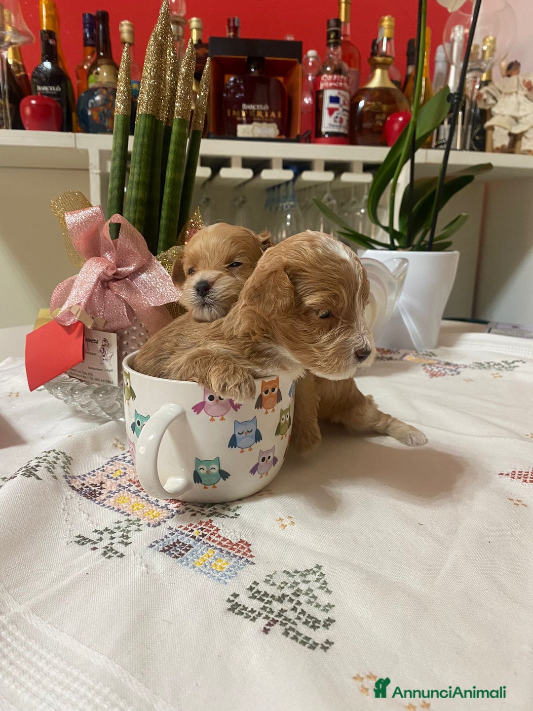 Immagine della galleria {{count}}