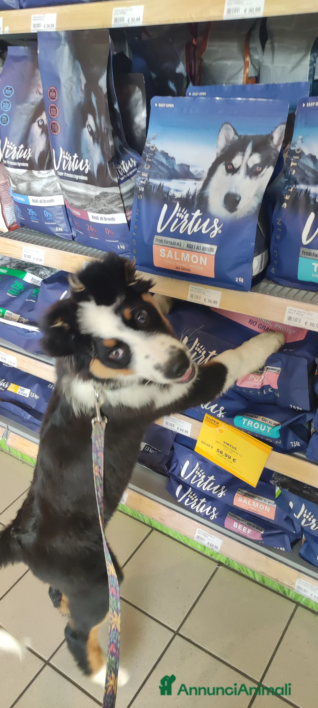 Immagine della galleria {{count}}