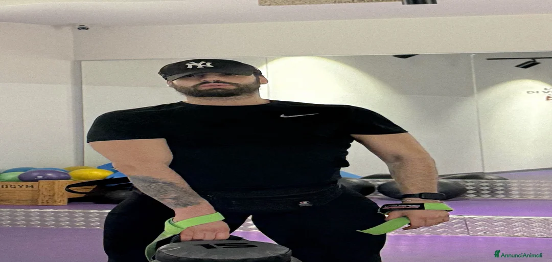 Immagine della galleria {{count}}