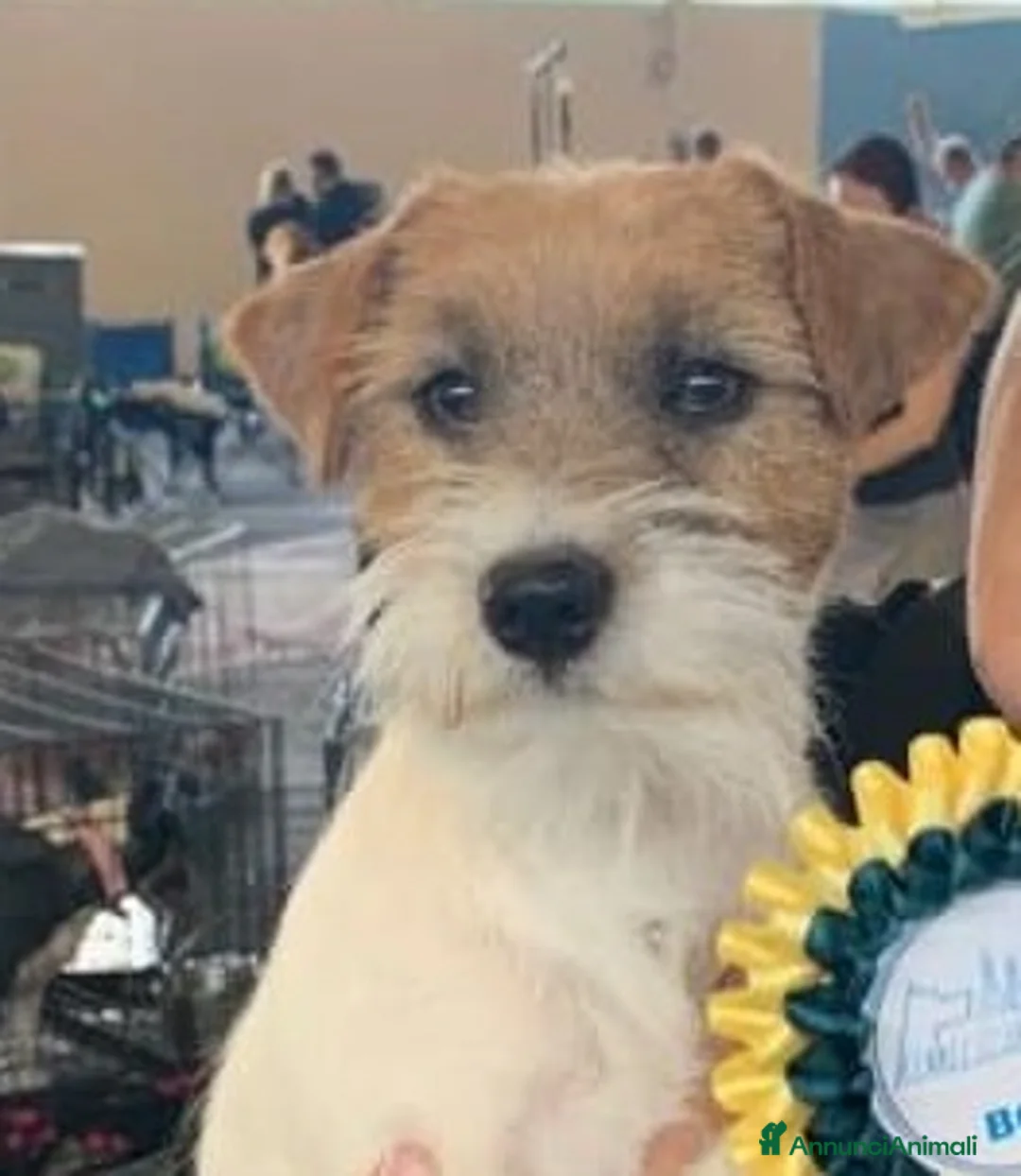 Immagine della galleria {{count}}