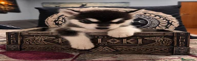 Loki