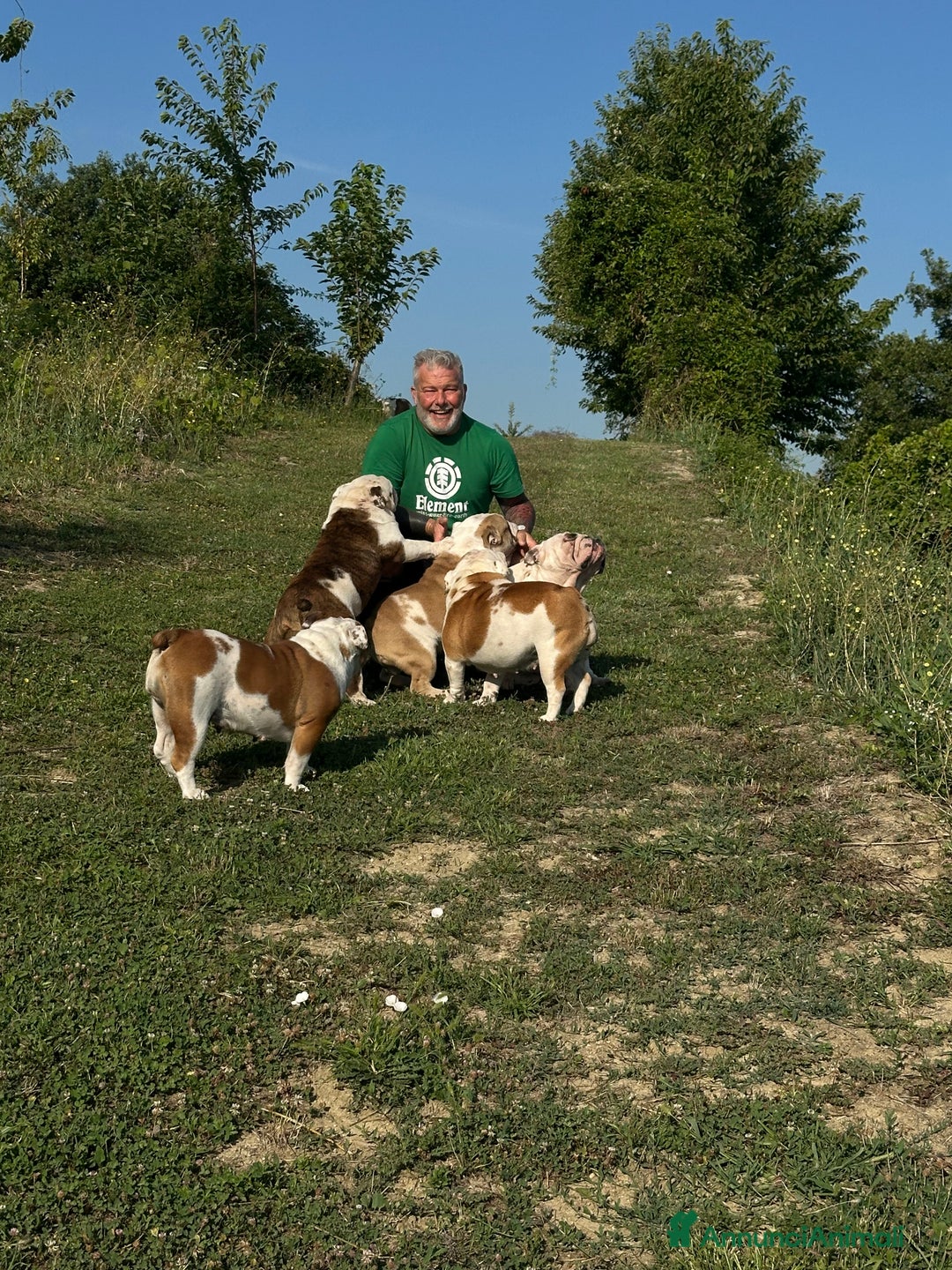 Immagine della galleria {{count}}