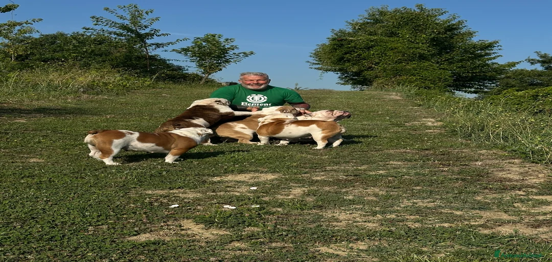 Immagine della galleria {{count}}