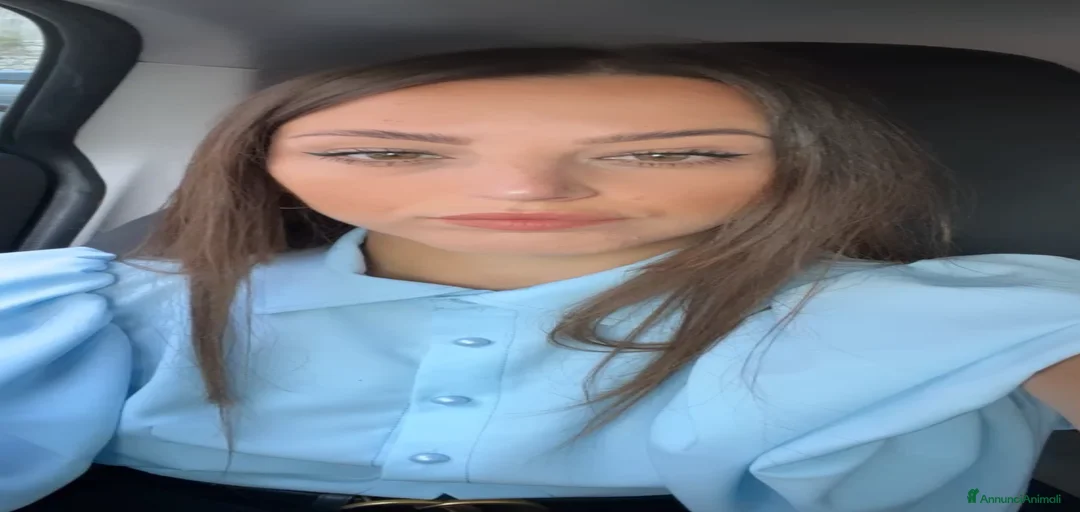 Immagine della galleria {{count}}