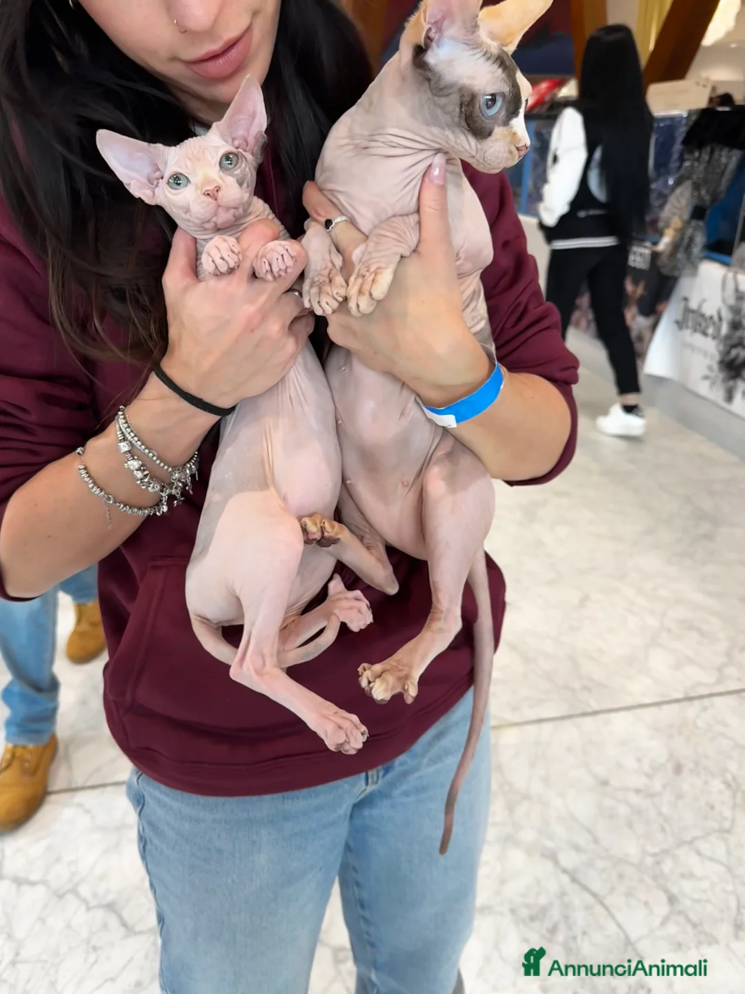 Immagine della galleria {{count}}