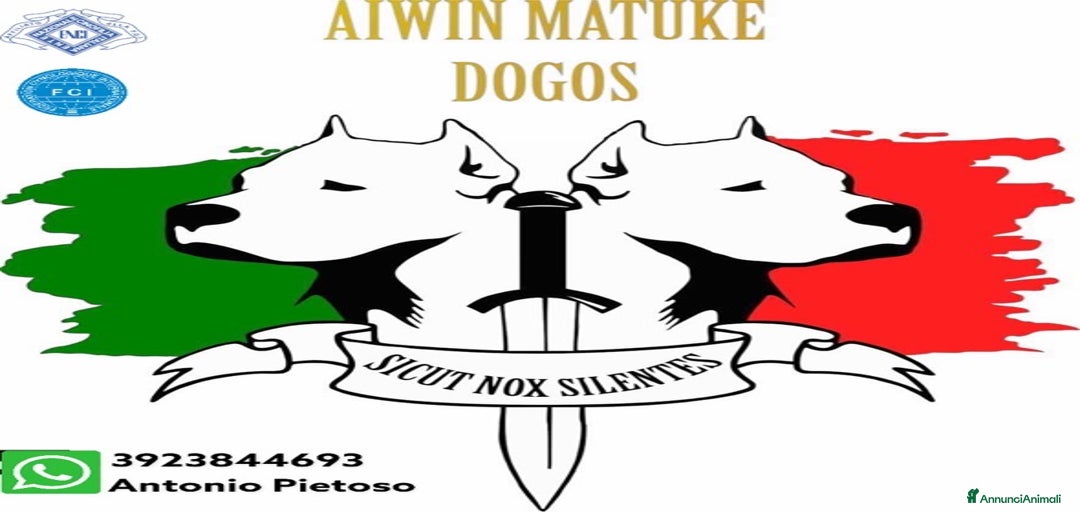 Immagine della galleria {{count}}