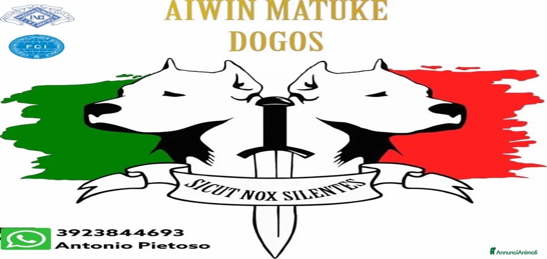 Immagine della galleria {{count}}