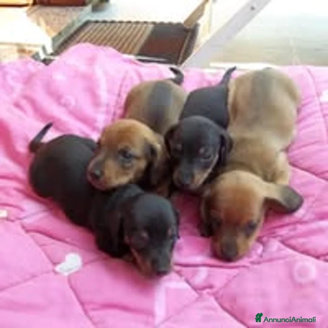 Immagine della galleria {{count}}