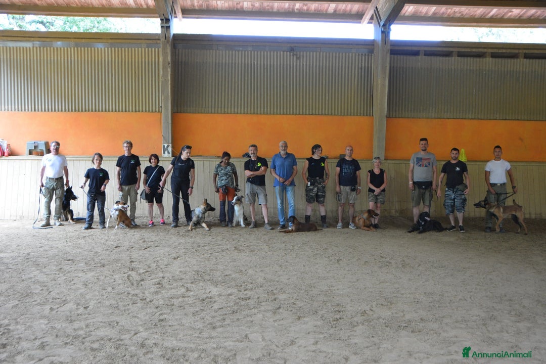 Immagine della galleria {{count}}