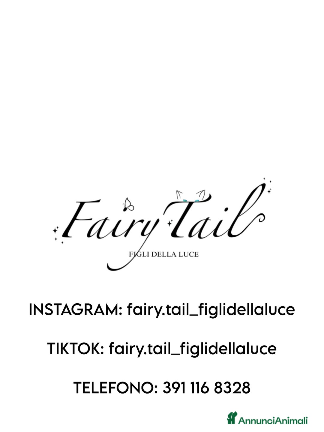 Sphynx gatti in vendita: Cuccioli di canadian sphynx con pedigree  - Annuncio 8