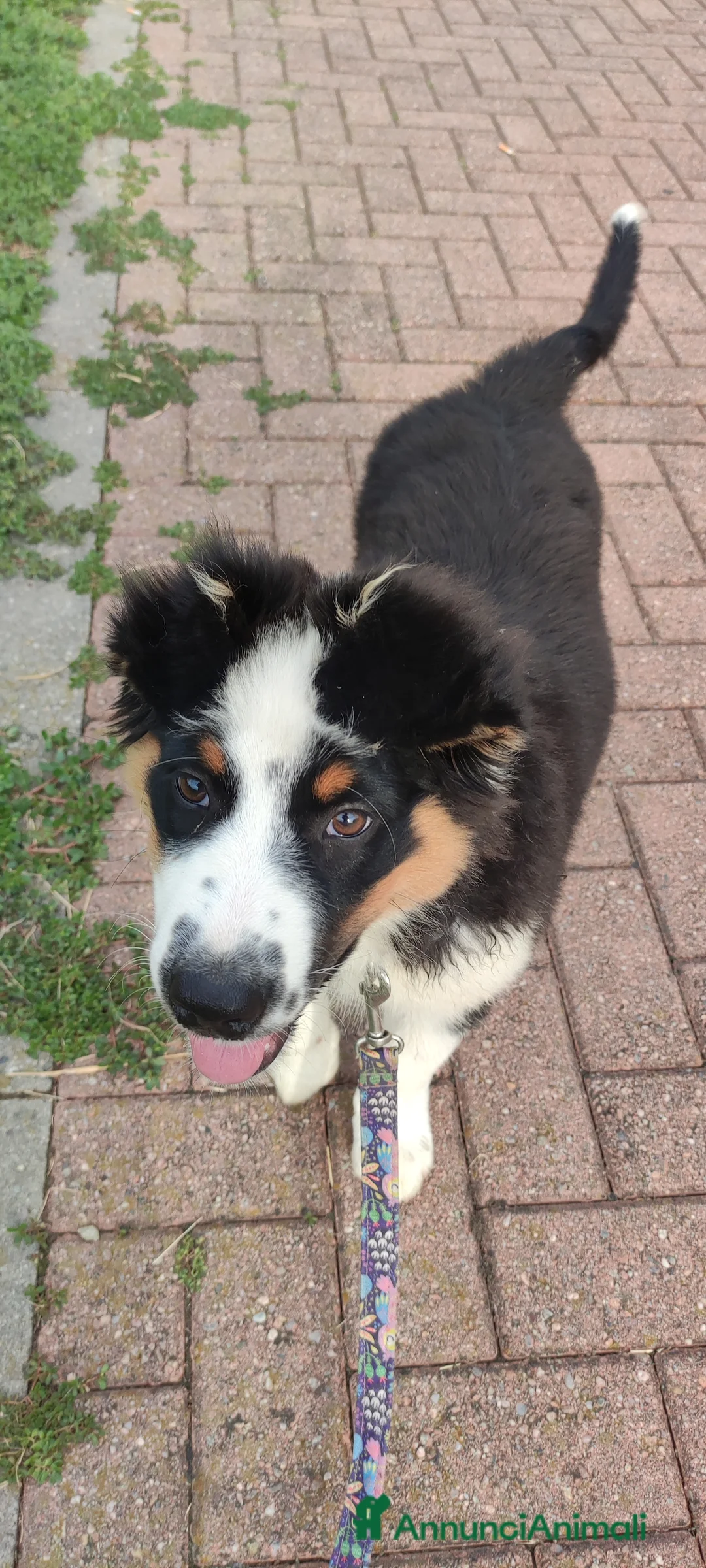 Immagine della galleria {{count}}