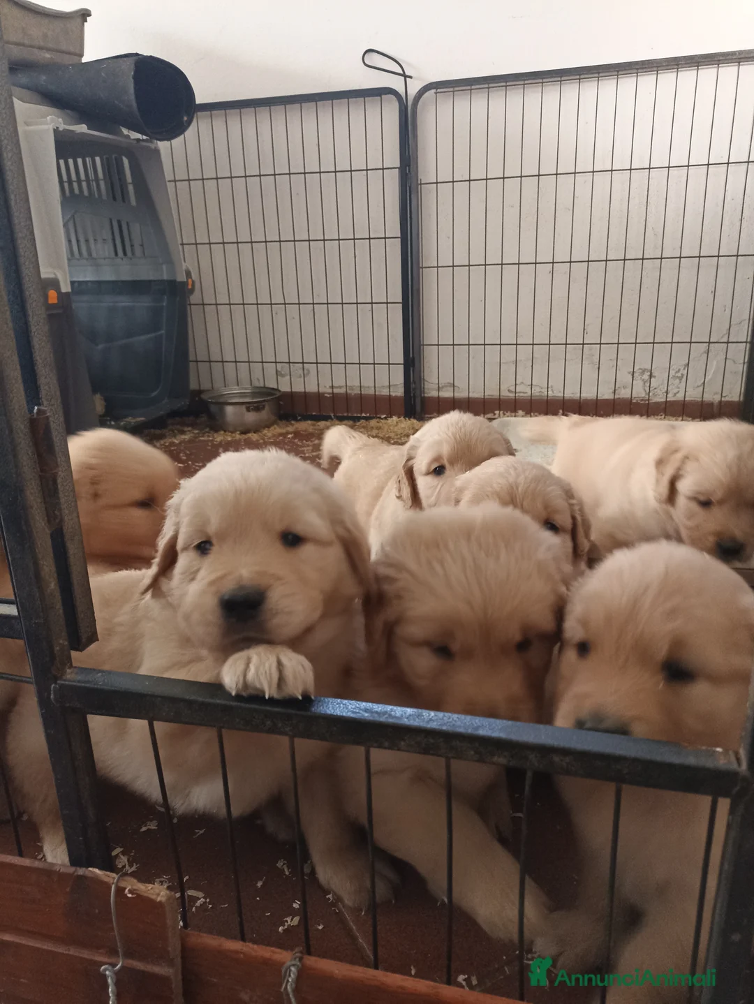 Immagine della galleria {{count}}