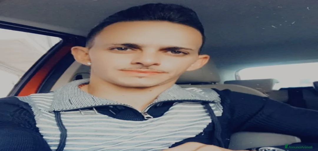 Immagine della galleria {{count}}