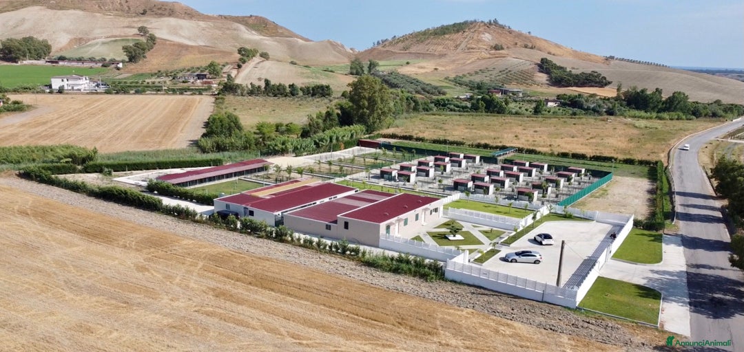 Immagine della galleria {{count}}