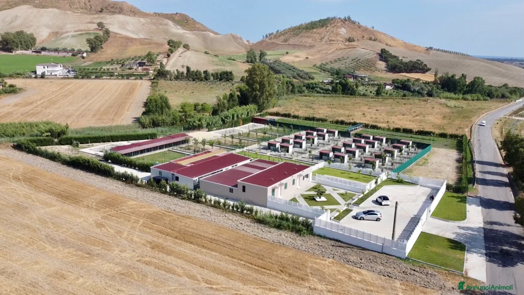 Immagine della galleria {{count}}