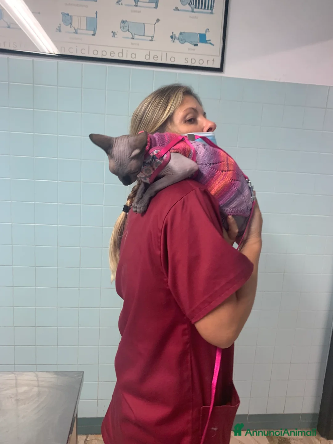 Immagine della galleria {{count}}