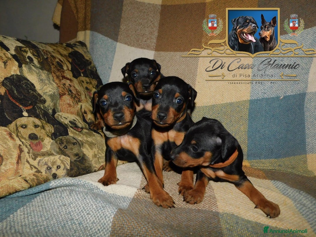 Immagine della galleria {{count}}